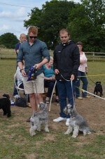 Remus Dog Show 2014