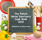 Remus Example Cook Book Cover