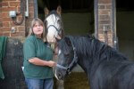 Sue Burton Remus Horse Sanctuary