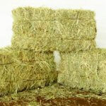 Remus Hay Bales