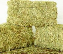 Remus Hay Bales