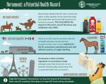 Horsemeat Imports