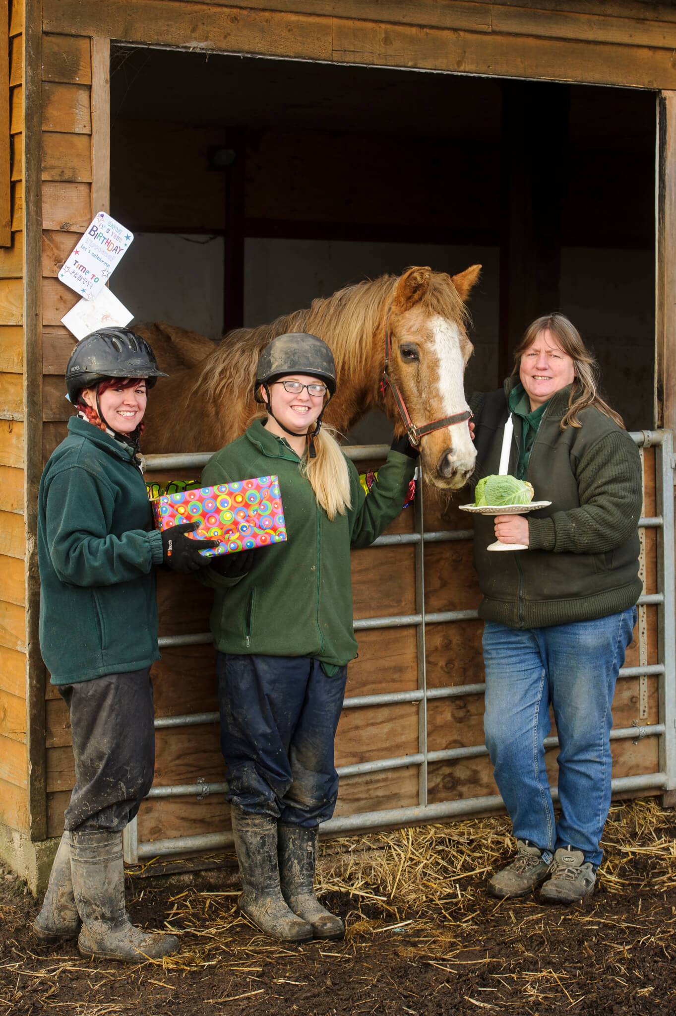 Worlds Oldest Horse Dies At Age Fifty - Remus Horse Sanctuary