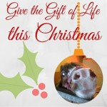Give the Gift of Life with Remus
