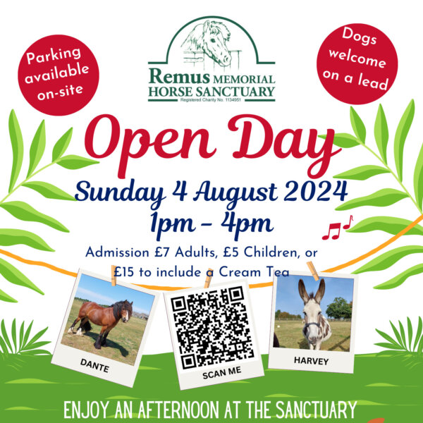 Remus 2024 Open Day Poster August