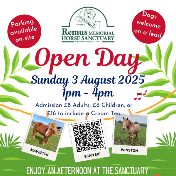 Open Day at the Sanctuary August