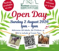 Remus August 2026 Open Day Poster Standard