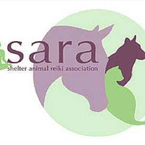 World Animal Reiki Day - Remus Horse Sanctuary