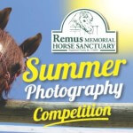 Remus Photo Competition