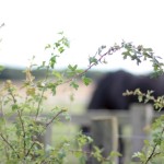 Sketch & Paint with Remus Sq