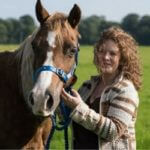 Reiki Equine Care Workshop