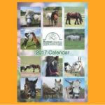 Remus Calendar 2017