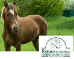 Remus Memorial Horse Sanctuary