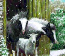 Remus Animal Welfare Calendar 2017