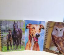 Remus 3d Notebooks Horse Dog & Owl