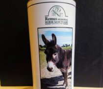 Remus Chocolate Chip Shortbread