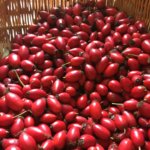 Rose hips