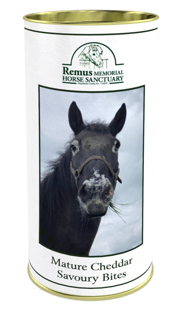 Remus Savoury Drum Mature Cheddar