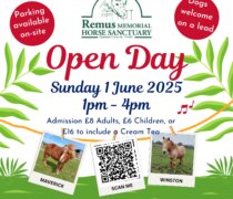 Remus June 2025 Open Day Poster Square