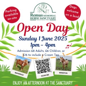 Remus June 2025 Open Day Poster Square