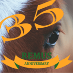 Remus 35th Anniversary