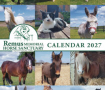 Remus Horse Sanctuary Charity Wall Calendar 2027