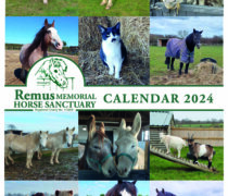 Remus Calendar cover 2024
