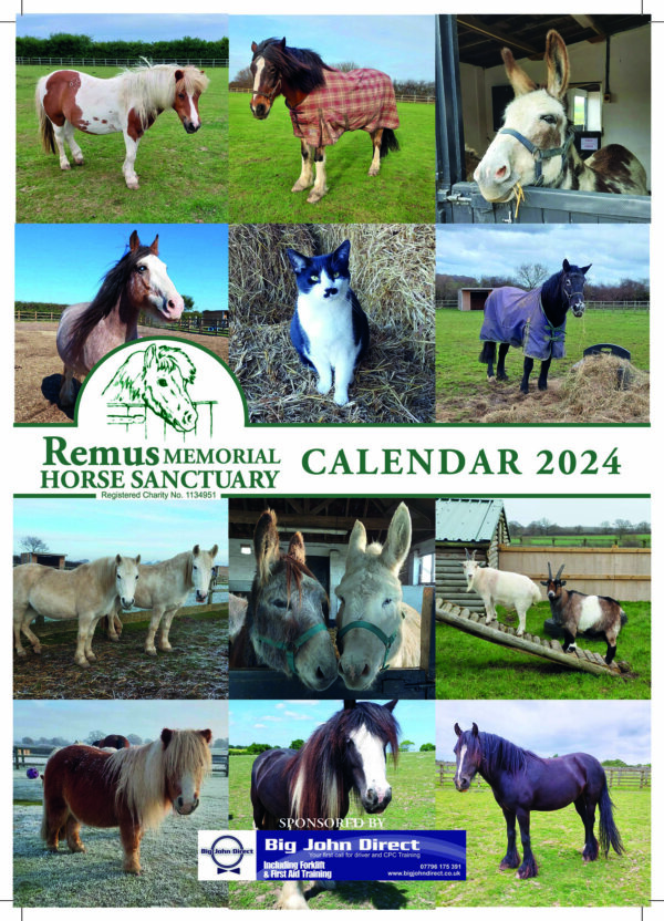Remus Calendar cover 2024