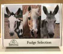 Remus Fudge Selection Box