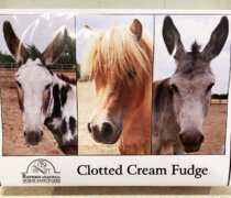 Remus New Fudge Apr 23
