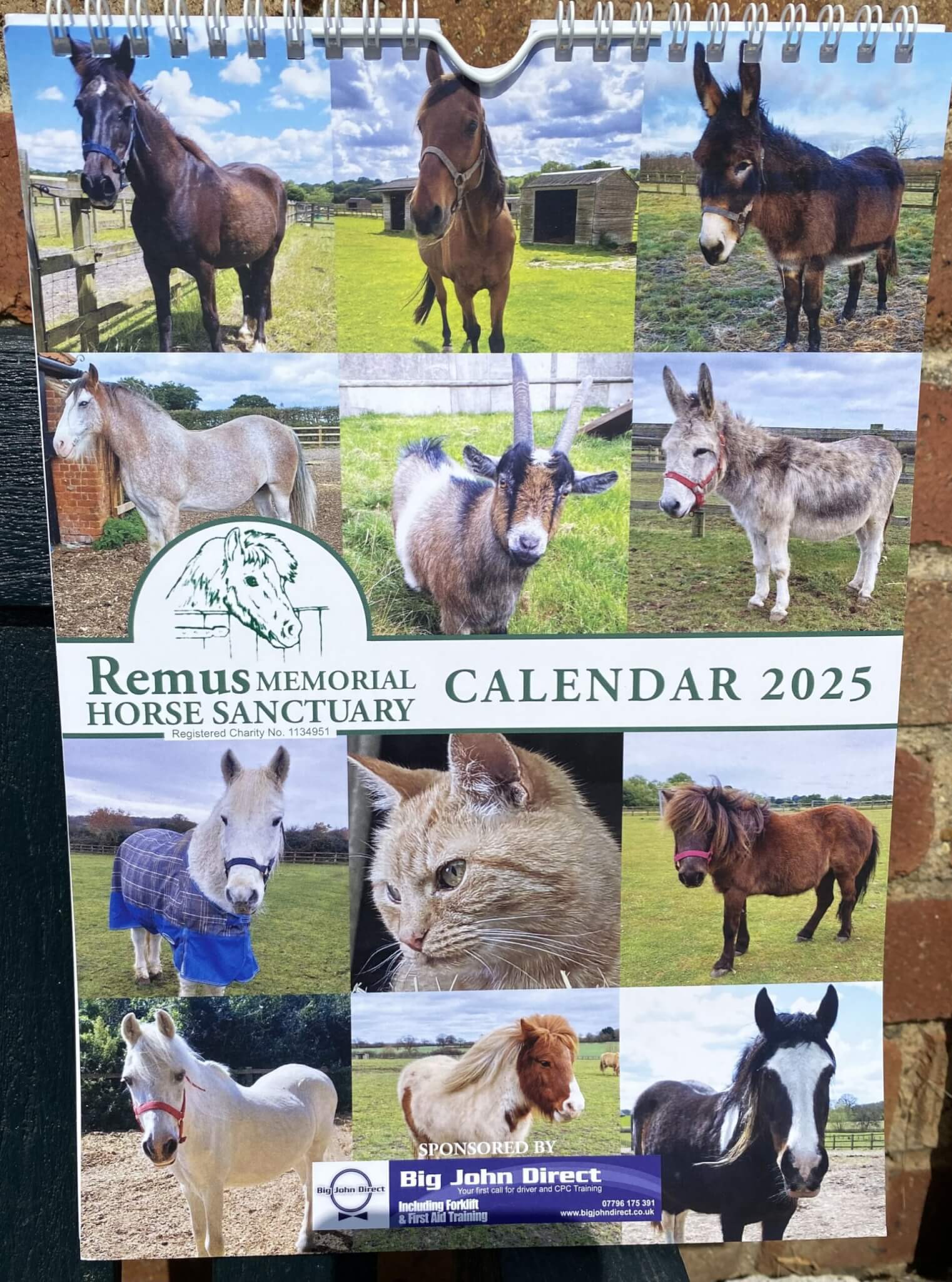 2025 Remus Wall Calendar Remus Horse Sanctuary