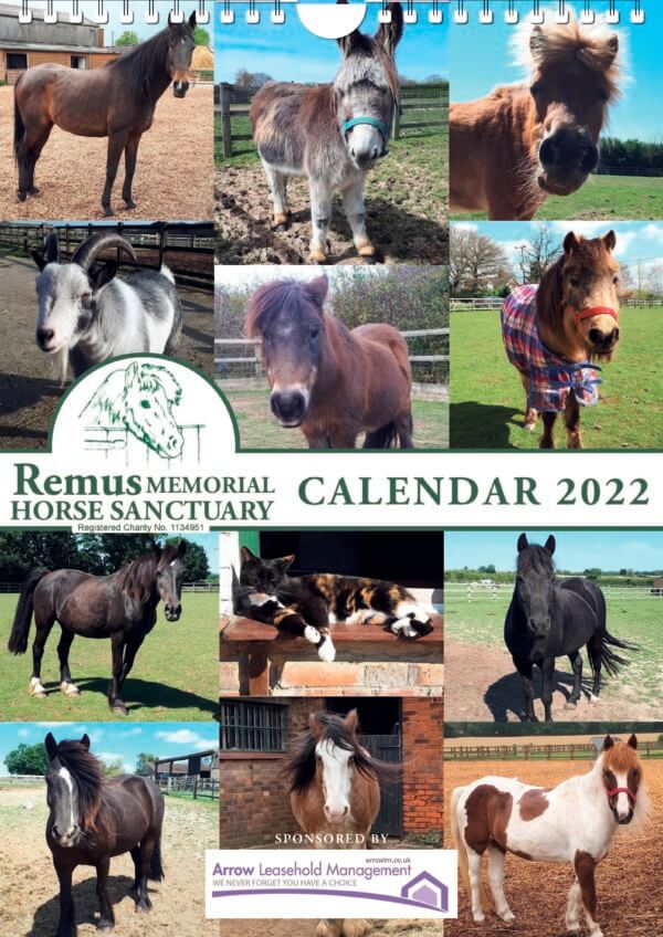 Remus Calendar 2022_Page_01
