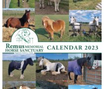 Remus Calendar 2023