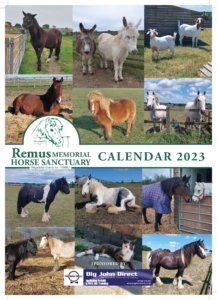 Remus Calendar 2023