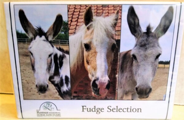 Fudge Selection