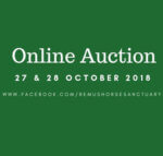 Remus Online Auction Autumn 2018