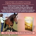 Remus Animal Reiki Workshop