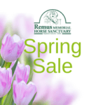 Remus Spring Sale