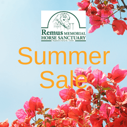 Remus Summer Sale