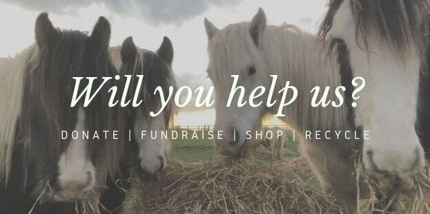 Remus Memorial Horse Sanctuary