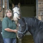 Sue Burton of Remus Horse Sanctuary with blind and pregnant mares Holly and Grace