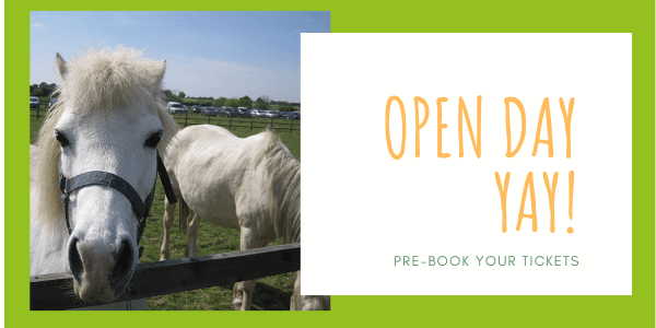 Remus Memorial Horse Sanctuary