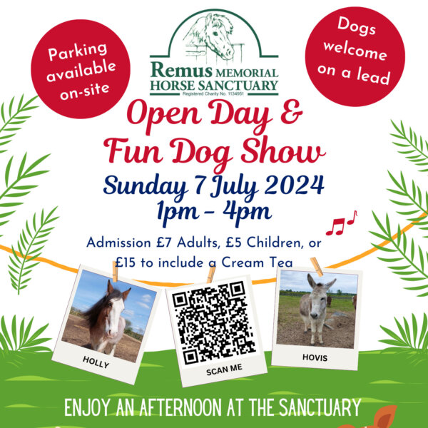 Open Day and Dog Show at the Sanctuary July