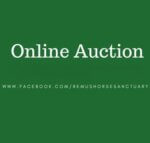 Remus Online Auction