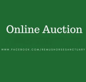 Remus Online Auction