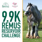 Remus Reservoir Challenge