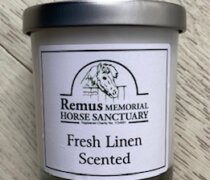 Remus scented candle