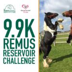 Remus Reservoir Challenge