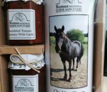 Remus Savoury Gift Box