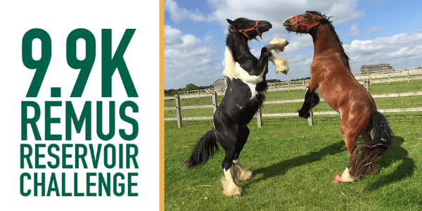 Remus Memorial Horse Sanctuary